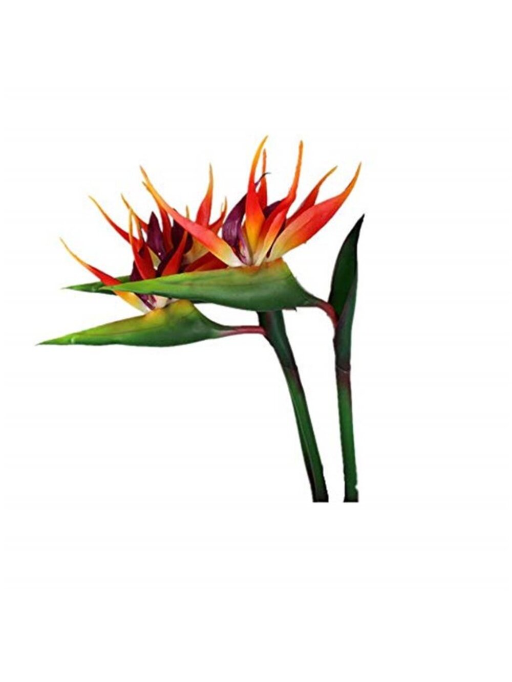 Artificial Bird of Paradise Flower 32 Inch UV Resistant Faux Tropical Plant Set